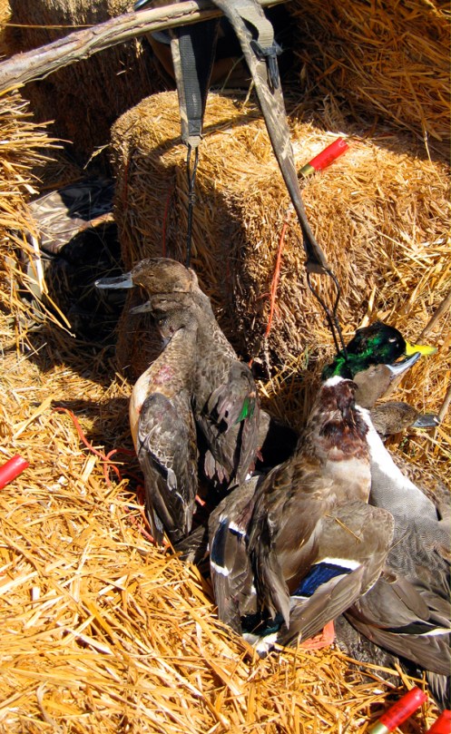 WU_102809_web WU_102809_web