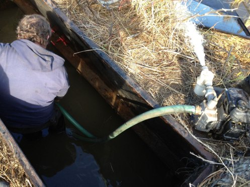 Our 4-man tank became a swimmin' hole last week, thanks to a crack in the back wall.