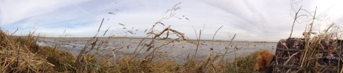 A sweeping view of our blind's north pond.
