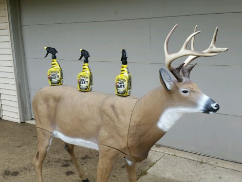 Most realistic deer decoy I've ever seen, and Scentblocker spray...we are ready for November!