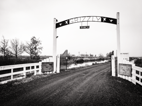 There's some debate whether or not Grizzly Bay and Grizzly Island were so named because of the bears that once did live in the area. Early documents show it instead as Grisly, possibly suggesting other reasons behind the name.