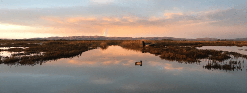 A rainbow appeared briefly between showers