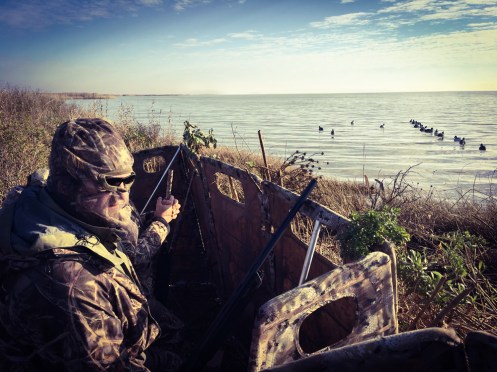 The view from our blind